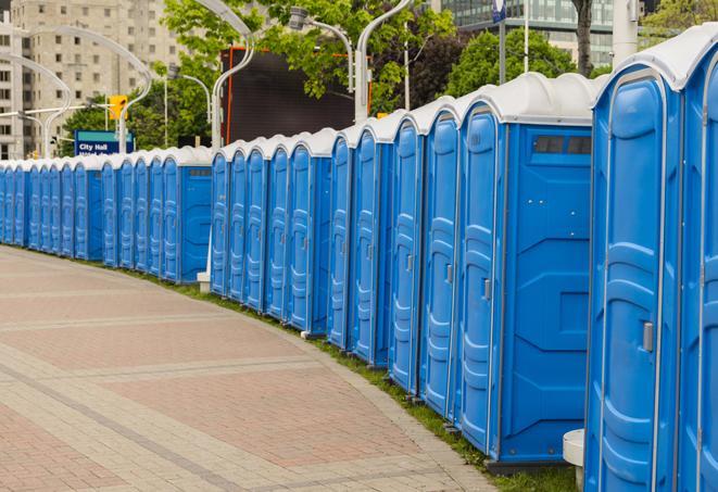 hygienic portable restrooms lined up at a music festival, providing comfort and convenience for attendees in Chesterland